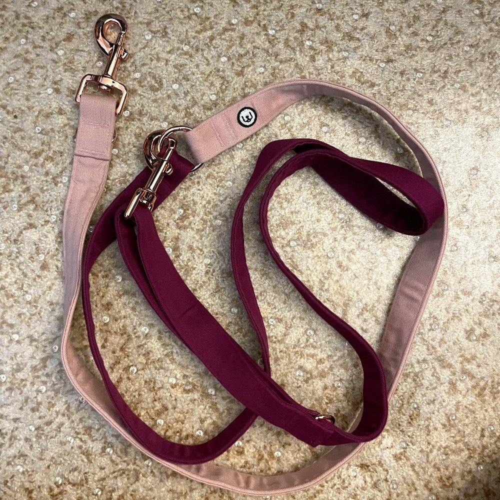 Convertible Leash